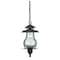Homeroots 16.5 x 8 x 8 in. Blue Ridge 1-Light Architectural Bronze Hanging Light 398024 - alternate 1